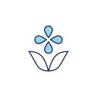 icon 32